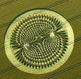 croptrusloe7242.jpg