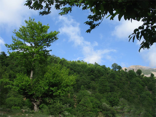 159137_602.jpg