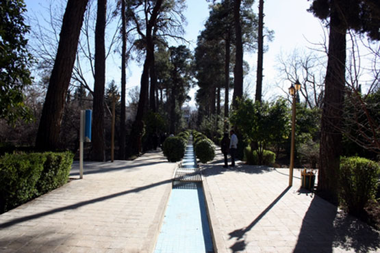 88363_248.jpg