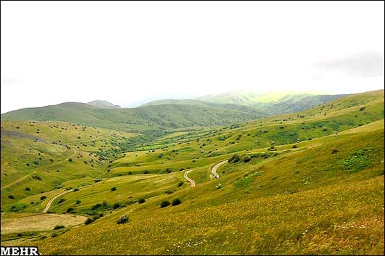 98950_661.jpg