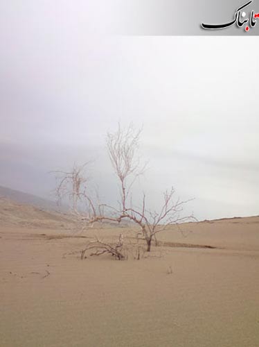 148812_955.jpg