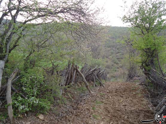 152612_807.jpg
