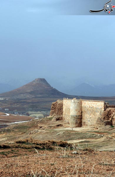 146740_494.jpg