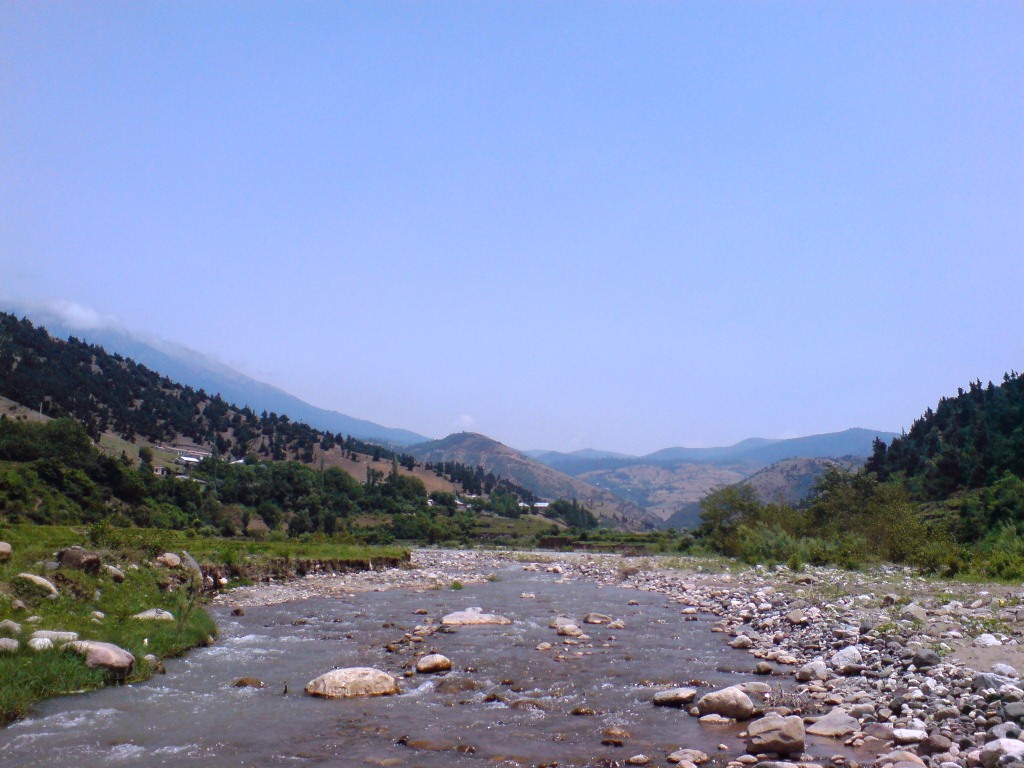135.jpg