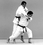 seoi4.gif