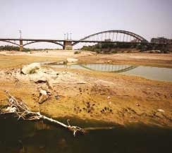 311891_917.jpg