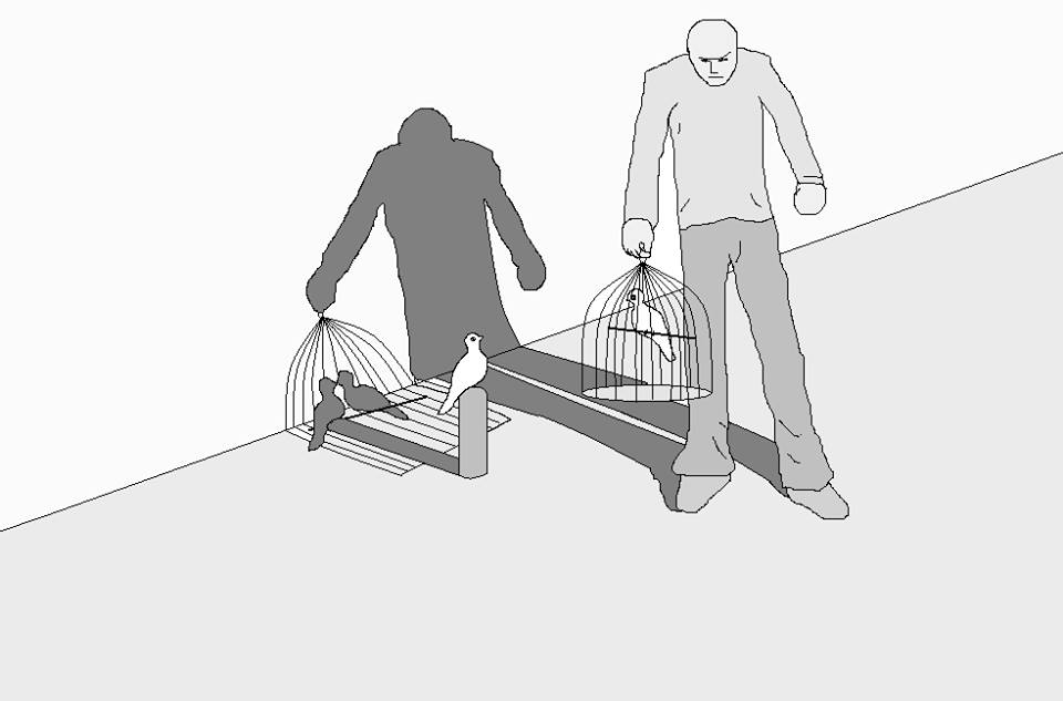 hossein_iran_cage_bird_shadow.jpg