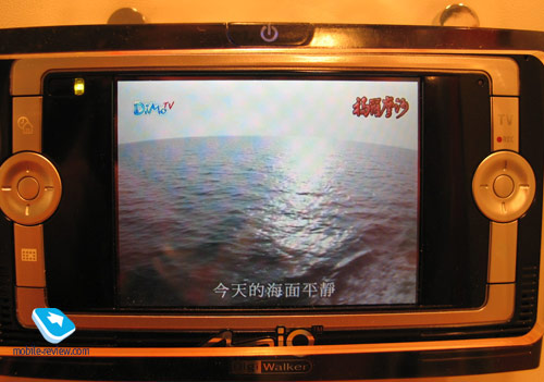 3957.jpg