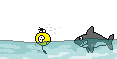 191.gif