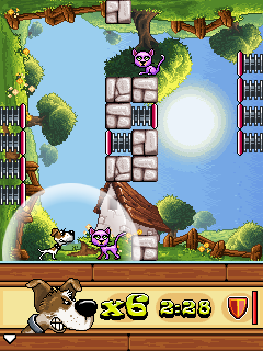 Crazy+Cats2.png