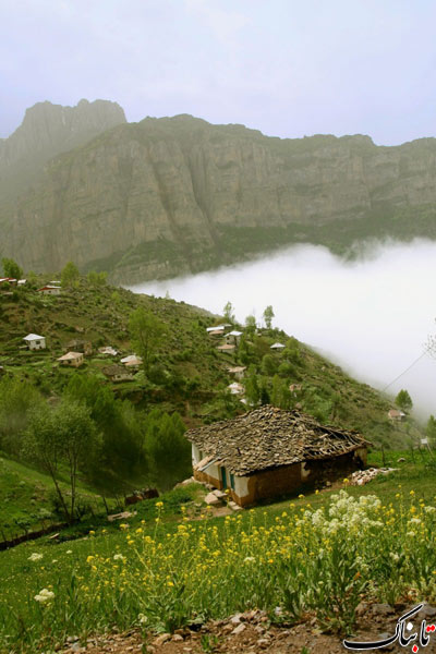 143568_216.jpg