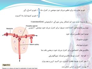 Slide3.JPG