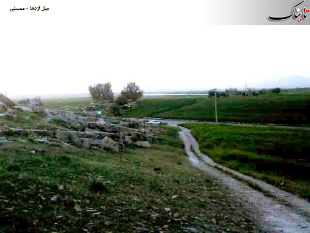 149265_310.jpg