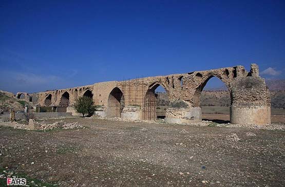 143036_854.jpg