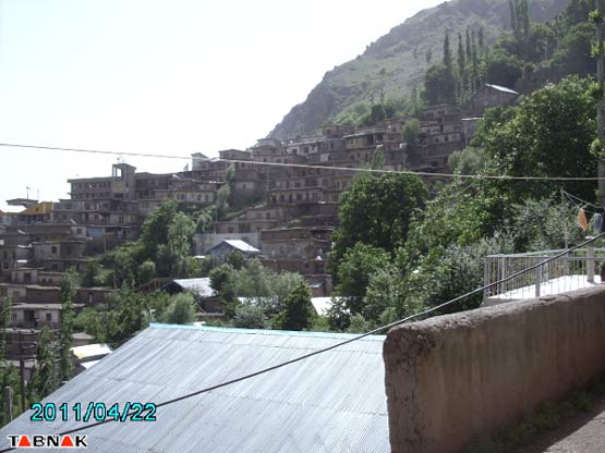 97497_721.jpg