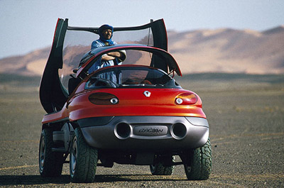 renault_racoon.jpg