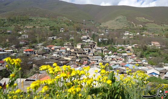 152596_685.jpg