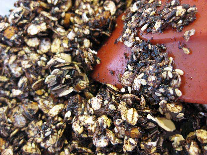 granola-chocolate-almond-honey-konjed-coconut03.jpg