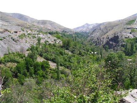 ir2511-9.jpg