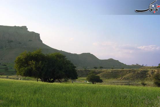 147251_648.jpg