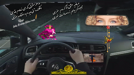 409_166.gif