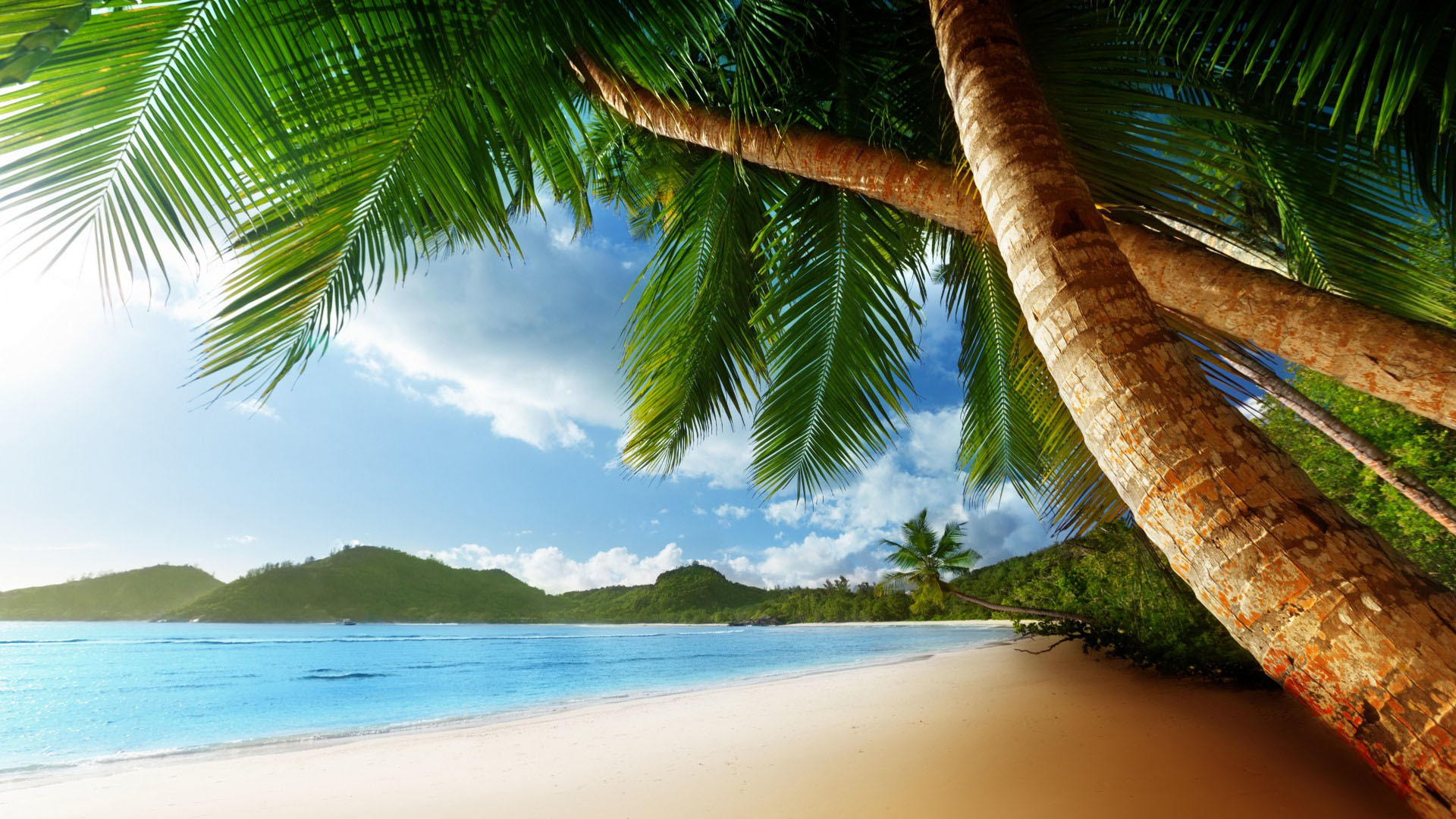 j4bv_paradise-island-wallpaper-2920.jpg.jpg