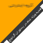 12846238582336_4_.gif