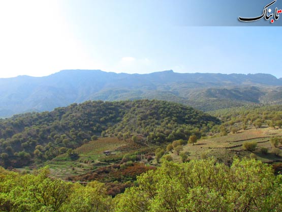 155100_947.jpg