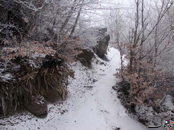 144343_308.jpg