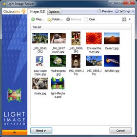 lirscreenshot280px-puny.jpg