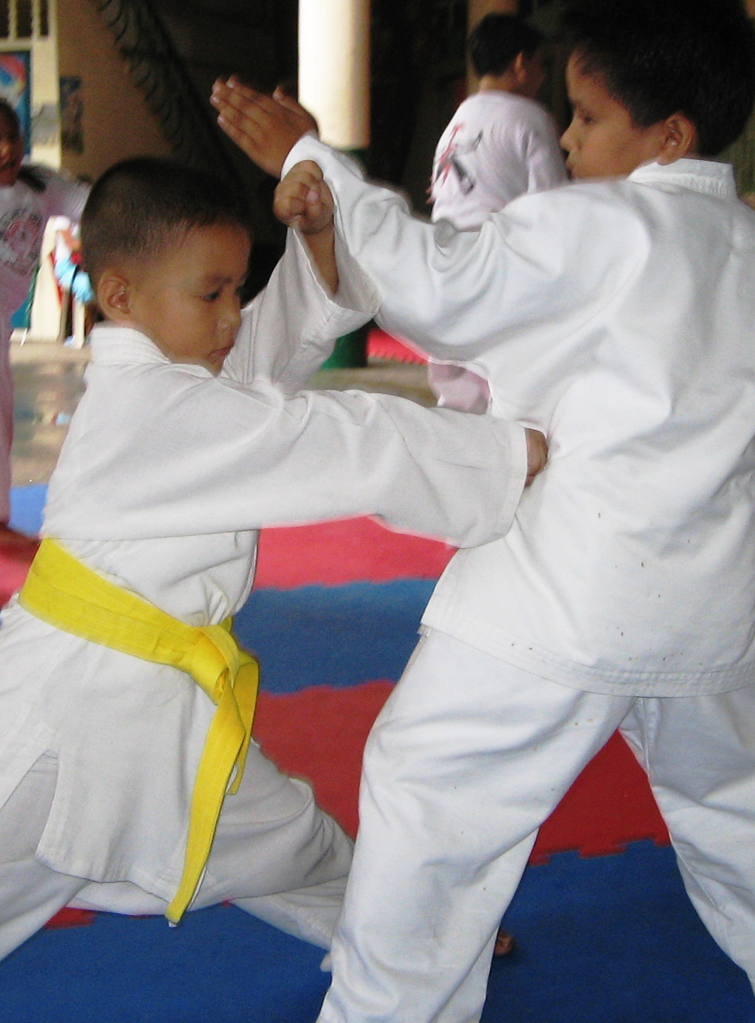 JJS_Karate_Kids_on_Training_-_crop.jpg