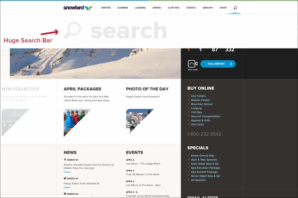 1-2_snowbird_search1-1024x682.jpg