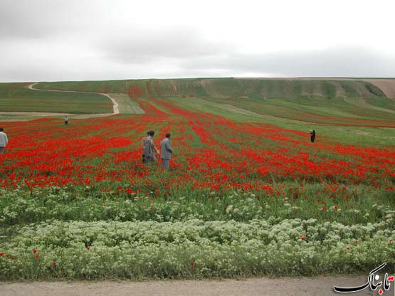 147628_814.jpg