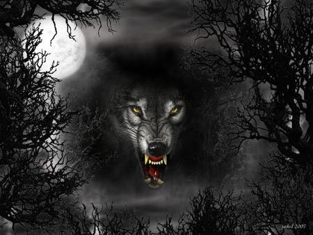 wolf.jpg