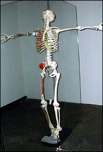 _39855640_hirst.jpg