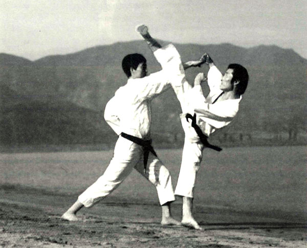 taekwondo2BIG.jpg