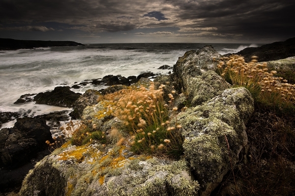 one_eyeland_fragile_life_by_glyn_davies_30070.jpg