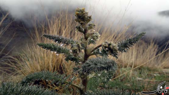 149190_812.jpg