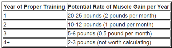 lyle-muscle-potential.png