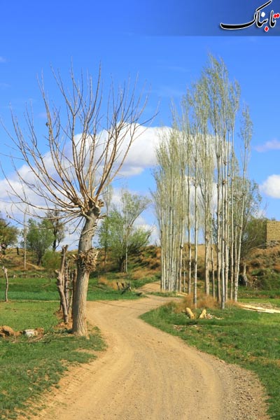 146982_340.jpg