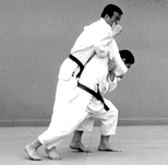 seoi8.gif