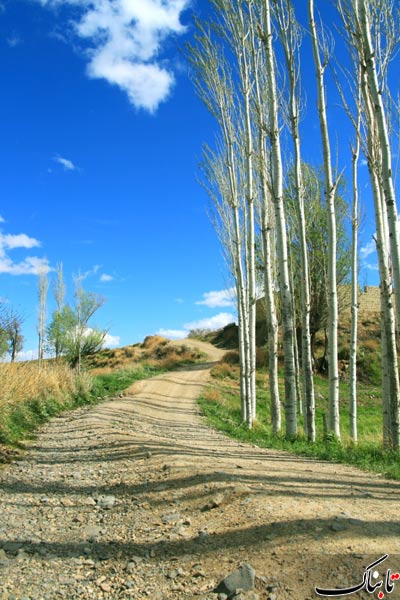 146983_700.jpg