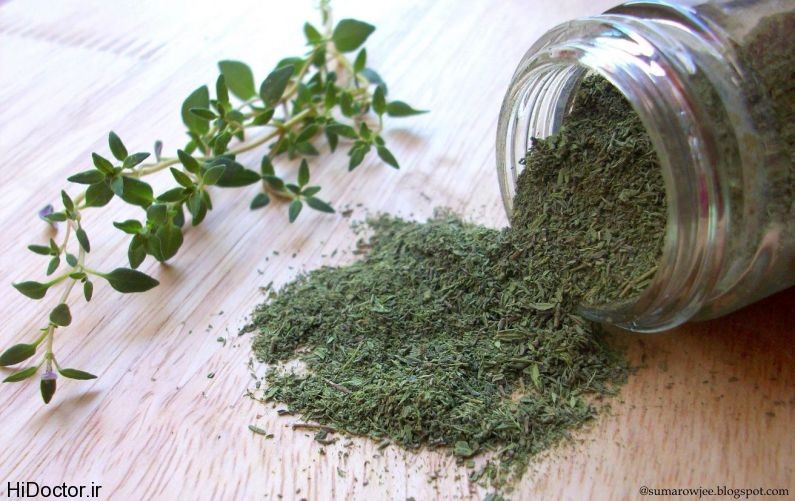 Thyme-The-Trent-795x501.jpg