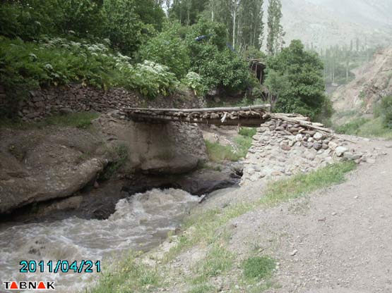 97493_432.jpg