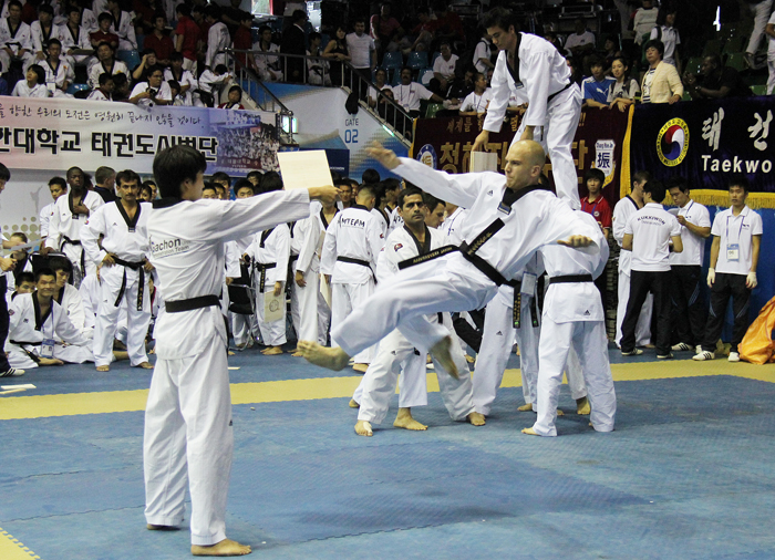 Korea_Taekwondo_Hanmadang_IS01.jpg