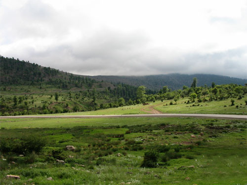 159135_187.jpg