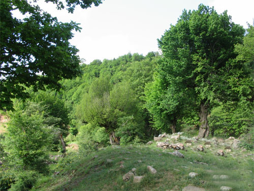 159136_790.jpg
