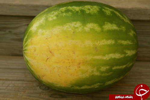 5578121_146.jpg