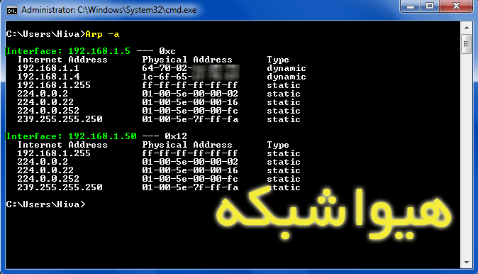 Arp-1.gif