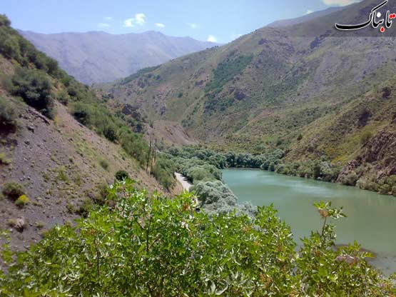 142664_401.jpg